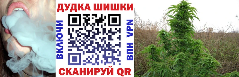 Продажа наркотиков Дыгулыбгей Alpha PVP  Гашиш  Канабис  Псилоцибиновые грибы  Cocaine 