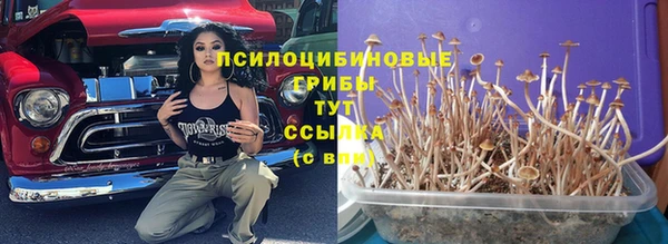 хмурый Куйбышев
